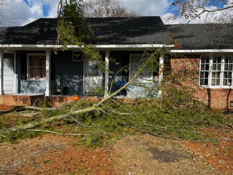 Near miss: Fayetteville man dodges falling tree limbs during ice storm