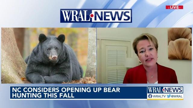 NC sanctuary bears in regulators' -- and perhaps soon hunters' -- crosshairs