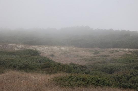 Warm air has 'sea fog' invading some NC beaches
