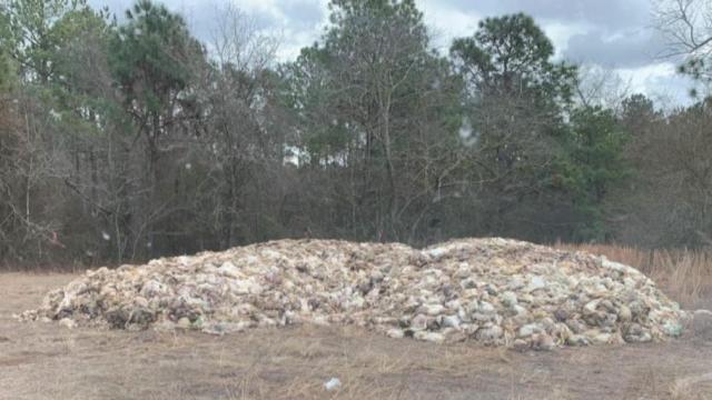 Dead birds found in Sampson County