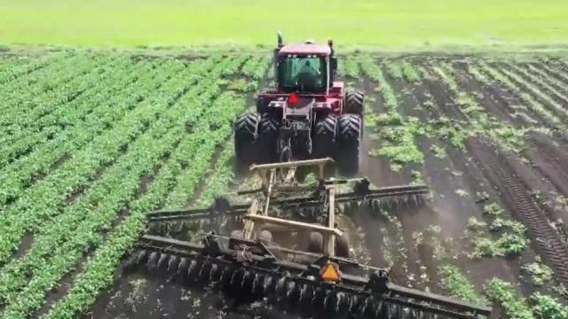 Rising price of fertilizer is forcing NC farmers out of the business