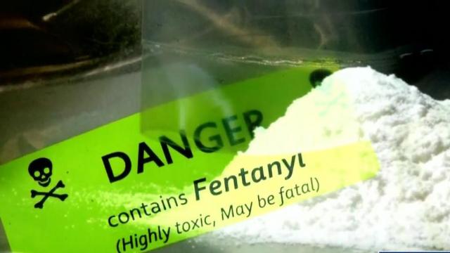 Fentanyl seized in Carolinas increased 15000% in two years, federal data shows