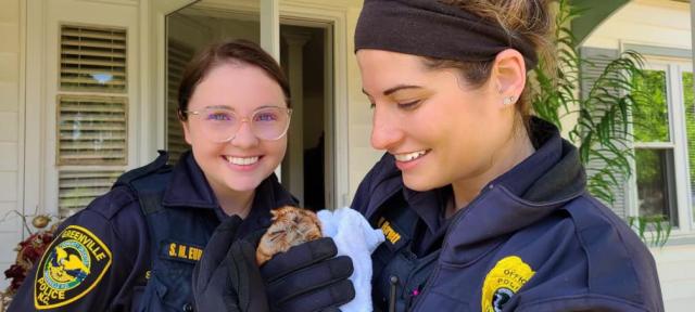 Greenville police officers rescue owl trapped in family's Kitchen 