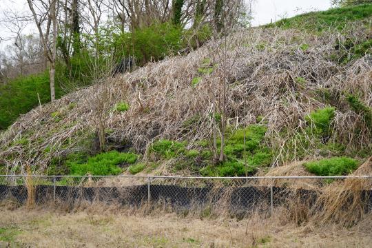The mound of ash on Martin Luther King Jr. Boulevard sits behind the site of the town's police department. 