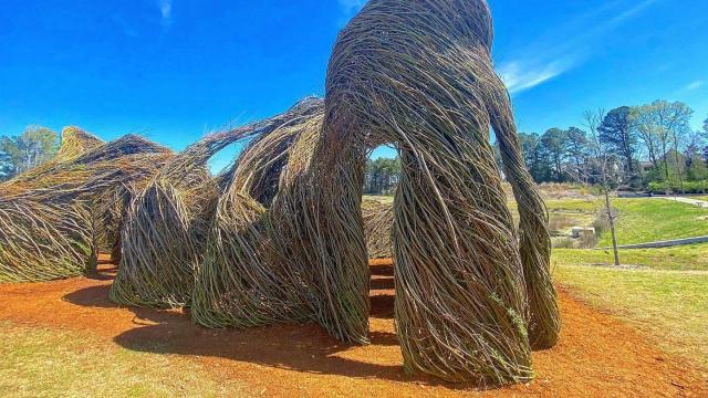 Explore: Whimsical willow castle creates magic in Cary park 
