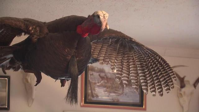 Bladen County's 'Turkey Mike' has been donating turkey feathers for 15 years