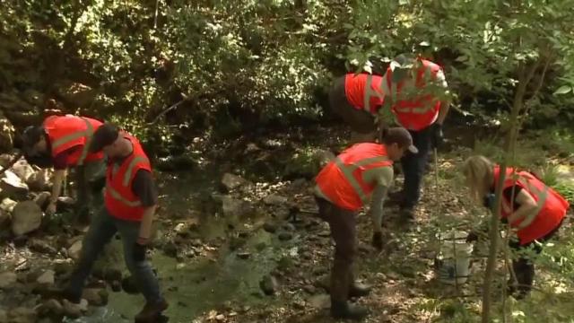 Volunteers clean up Chavis Park for Earth Day