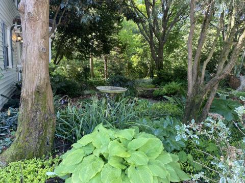 Juniper Level Botanical Gardens, photo taken April 26, 2022. 