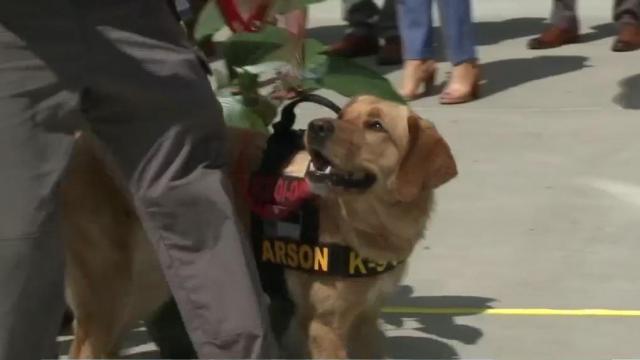 Working for treats: K9 team joins fight against arson crimes in NC 