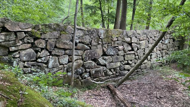 Abandoned mills, homes, graves hidden in woods at Umstead Park date back to 1800s