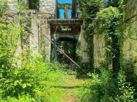 The remnants of St. Agnes have long stood, overgrown and hollowed out, a reminder of segregation in healthcare in Raleigh. Soon, the 'ruins' could be restored into a memorial.