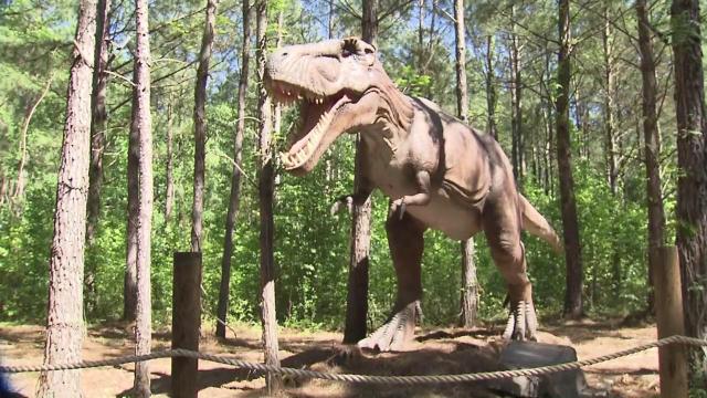 Prehistoric creatures roam at Sweet Valley Ranch in Fayetteville 