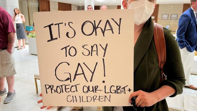 LGBTQ+ advocates protest amid Senate vote on Parents' Bill of Rights legislation