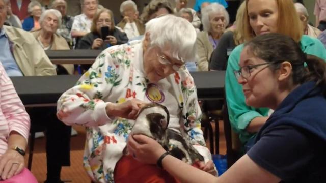 104-year-old fulfills dream of petting penguin 