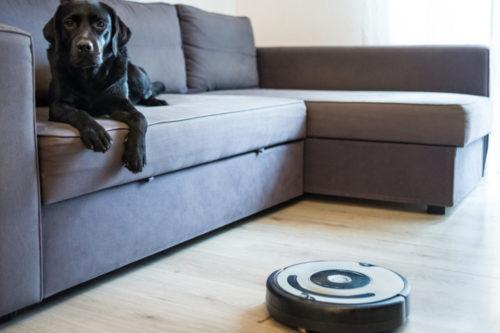 The Best Shark Robot Vacuums In The Lineup, According To Amazon Buyers