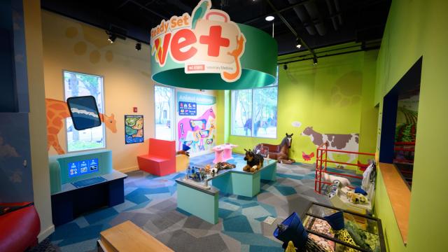 Marbles Kids Museum opens 'Ready Set Vet' exhibit