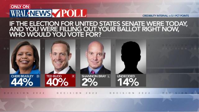 US Senate race impacted by recent mass shootings
