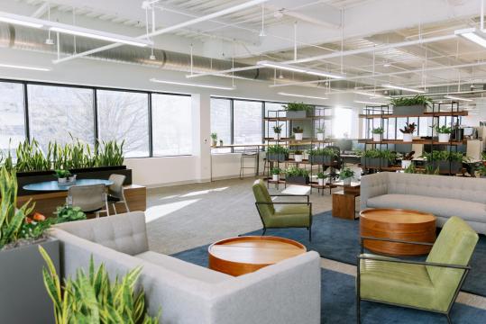 How a local biotech company found its hybrid working environment "groove"