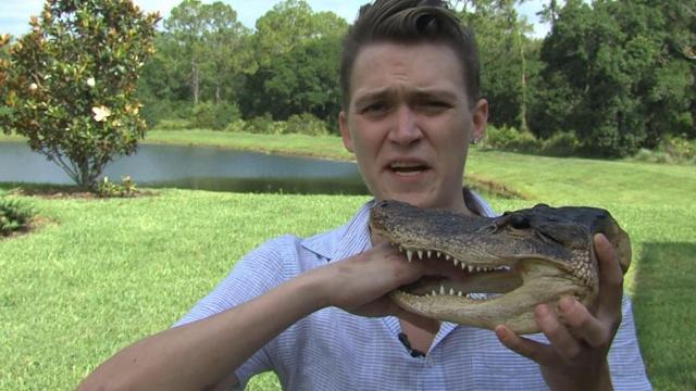 Florida man attacked by alligator while playing catch near pond 