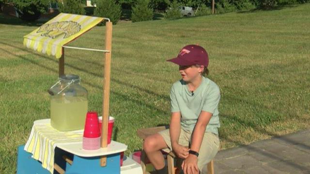Young boy's entrepreneurial spirit through lemonade stand a refreshing outlook