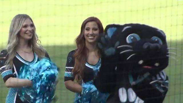 Sir Purr visits Durham Bulls Park to help fans celebrate Panthers Night 