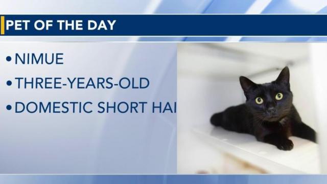 Pet of the Day for July 25, 2022