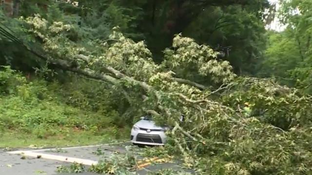 Storms knock down tree onto power lines, car in Chapel Hill 