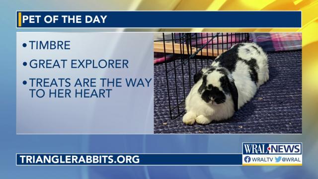 Pet of the Day for August 7, 2022