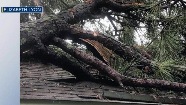 Tree falls on Garner home, goes through roof 
