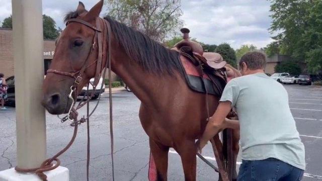 Hoofing it: SC man draws crowd by riding horse to doctor's appointment