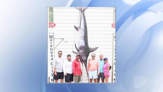 NC father-son duo catch 500-pound swordfish, break state record 