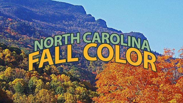 Fall colors in NC: Guide to foliage in Boone, Asheville, Grandfather Mountain