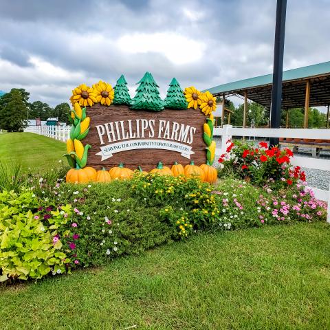 Fall fun returns this weekend at Phillips Farms of Cary 