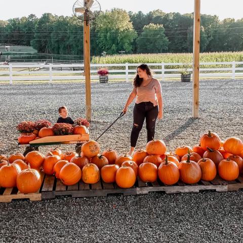Phillips Farms in Cary transforms into fall festival 