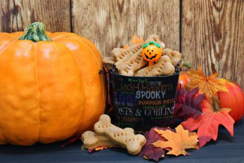 These Pumpkin Dog Treats Let Your Pup Enjoy Fall Flavors Too