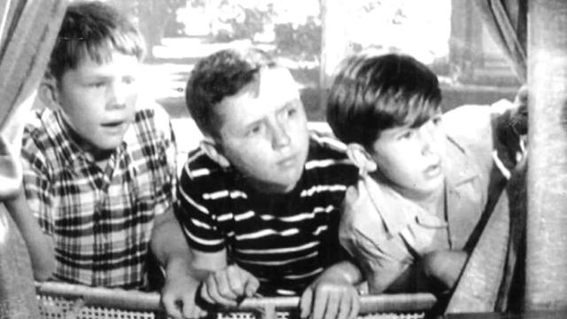 Dennis Rush played one of Opie's best friends on 'The Andy Griffith Show'