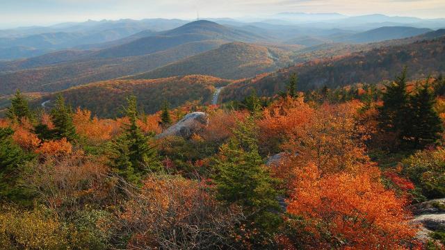 Grandfather Mountain says weather conditions 'perfect' for bright fall foliage this year 