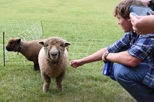 A man enjoys the petting zoo at Farm Aid in Raleigh.