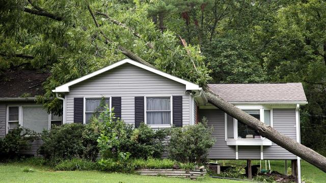 Tree falls on Clayton home, 41 mph winds reach Fayetteville