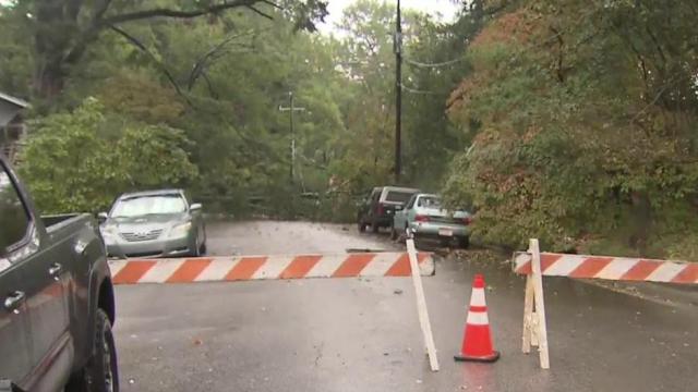 Tree knocks out power to north Durham neighborhood