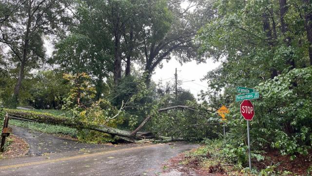 في 30 سبتمبر 2022 ، سقطت شجرة على جرانفيل درايف بالقرب من بيركويمانز درايف في رالي بينما يضرب الإعصار إيان ولاية كارولينا الشمالية.