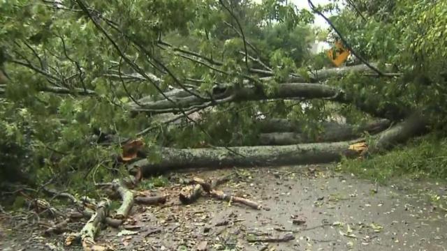 Be careful on the roads this morning: Ian knocks down power lines, trees 