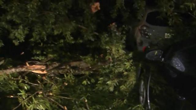 Winds bring down large trees near Raleigh's Village District
