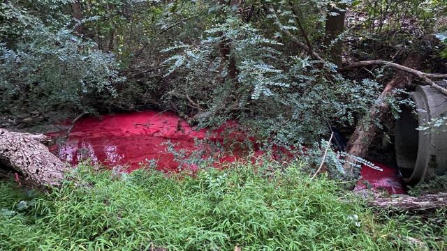 Clayton names company responsible for weekend oil spill, state issues warning to avoid creek 
