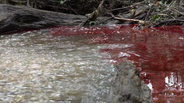 Clayton names company responsible for weekend oil spill, state issues warning to avoid creek 
