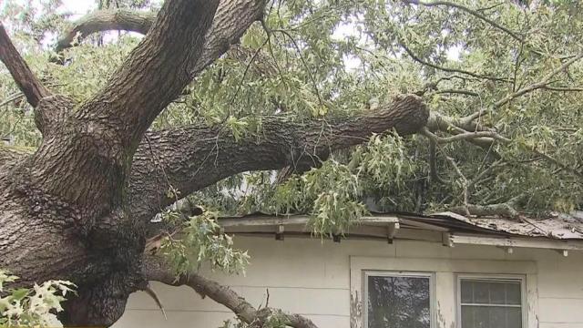 Morrisville man grateful to be alive after tree falls on house
