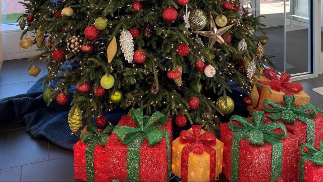 Bah humbug: Expect to shell out more for a Christmas tree this year
