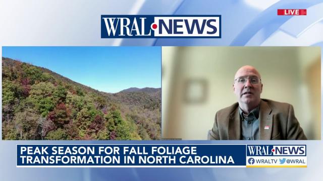 North Carolina reaches peak season for fall foliage transformation