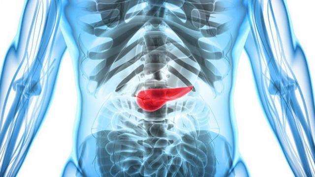 Pancreatic cancer breakthrough? Gel-like, radioactive implant obliterates it in mice
