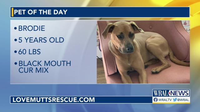 Pet of the Day, Oct. 30, 2022